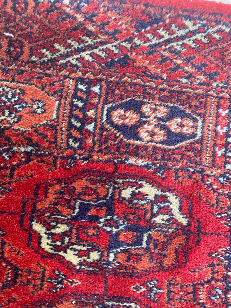 Carpet designs bukhara in wool 70x144 cm