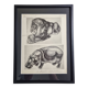 Illustrated plate, Studies of a lion and a hippopotamus, signed A. Margat, 1930