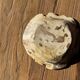 Round beige petrified wood bowl D21- 3780