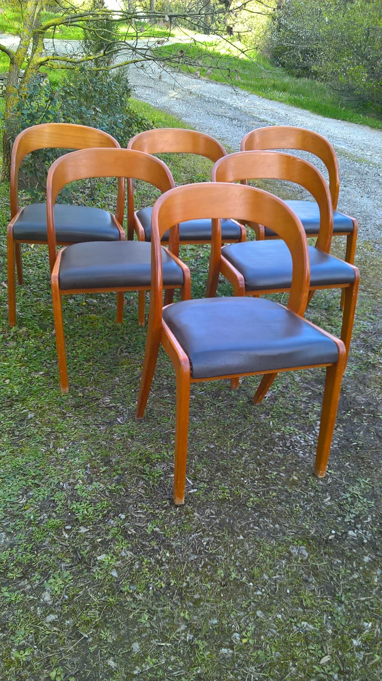 Baumann chairs in leatherette