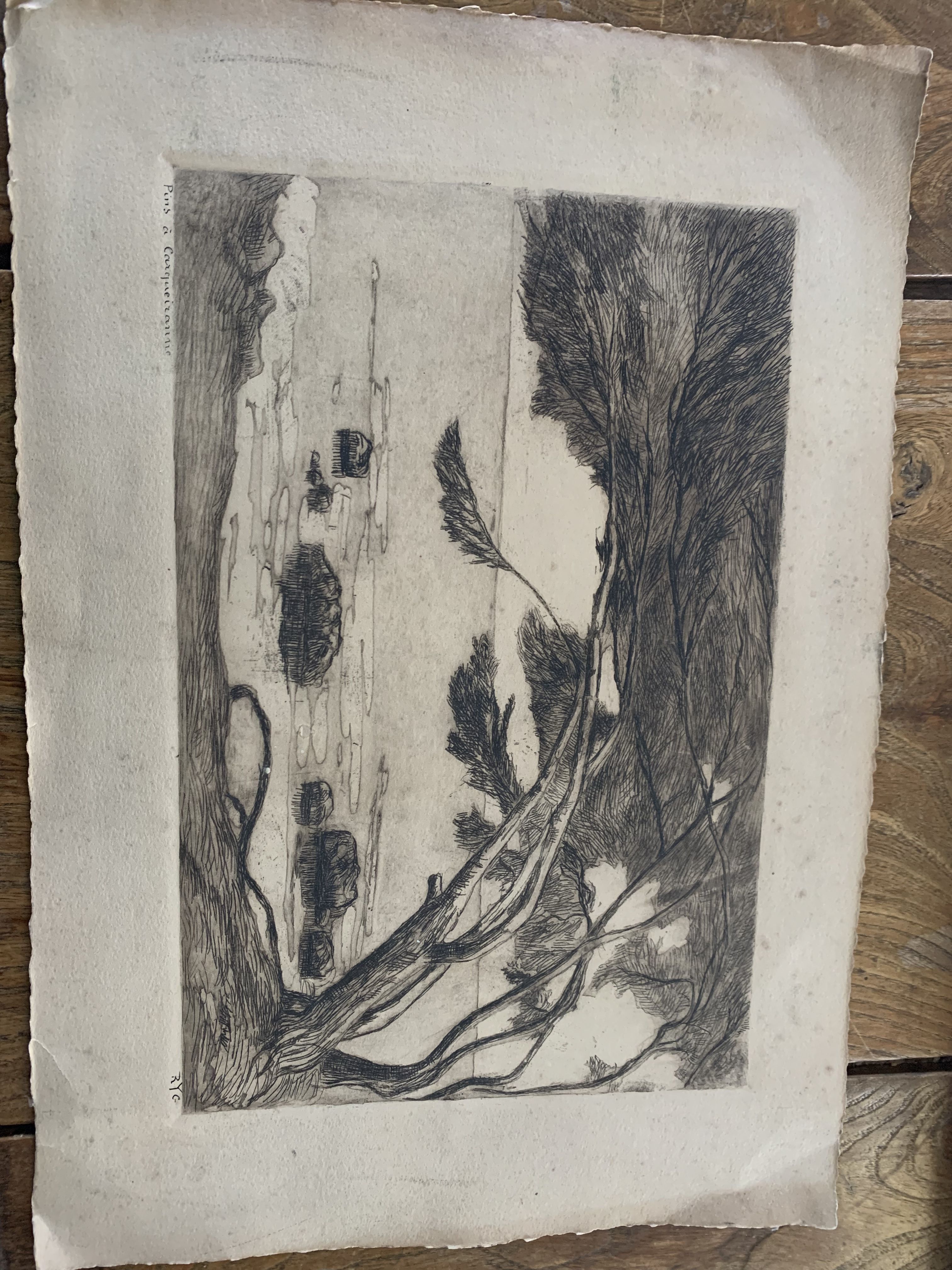 Charcoal drawing and ink the pines Carqueiranne sign Ryg