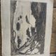 Charcoal drawing and ink the pines Carqueiranne sign Ryg
