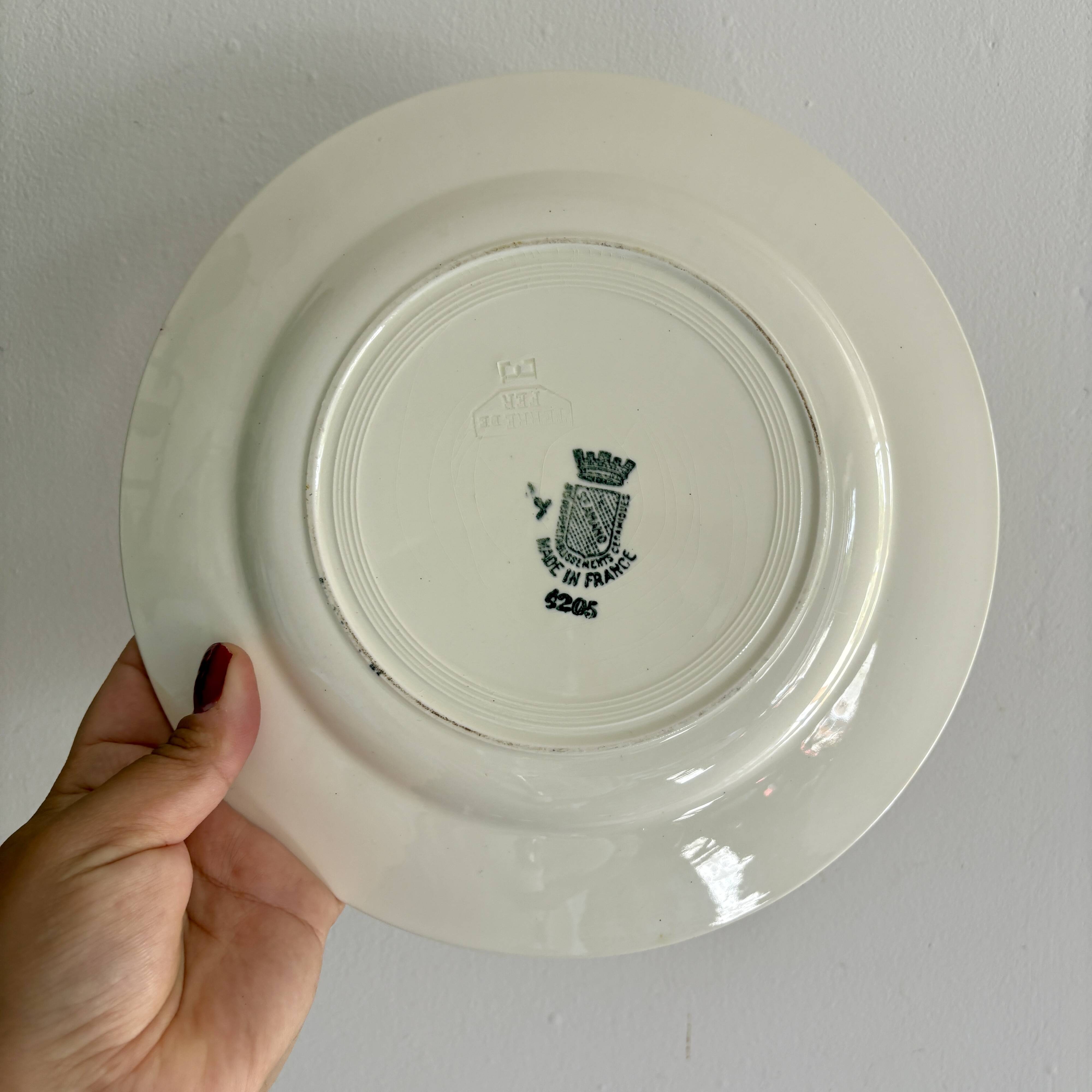 Set of 10 mismatched antique dinner plates