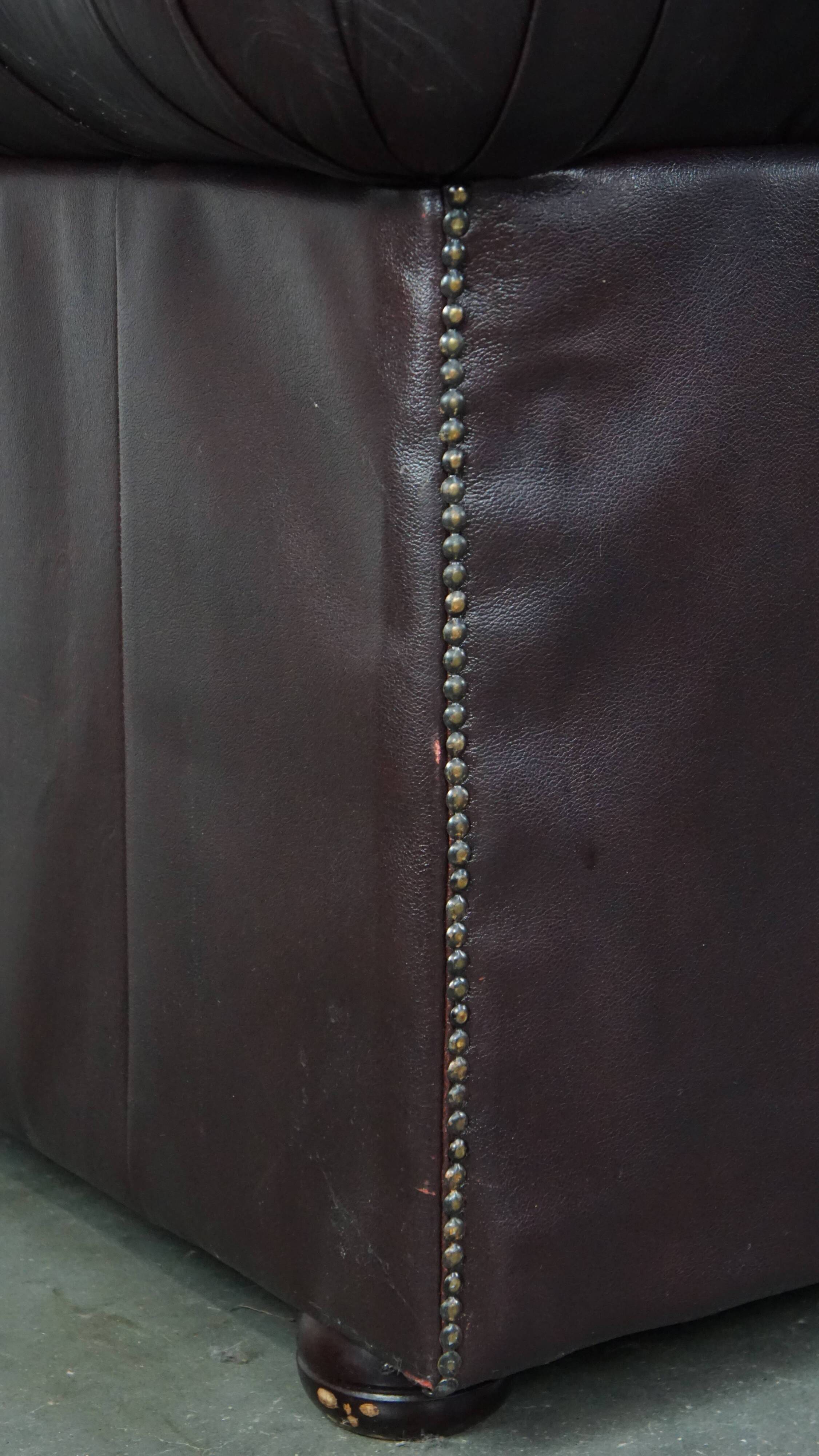 2.5-seater Chesterfield sofa in dark red flamed cowhide leather