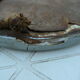 40s oval mirror in wood and stucco 59x39cm