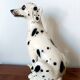 Vintage ceramic Dalmatian dog, Italy 1970.