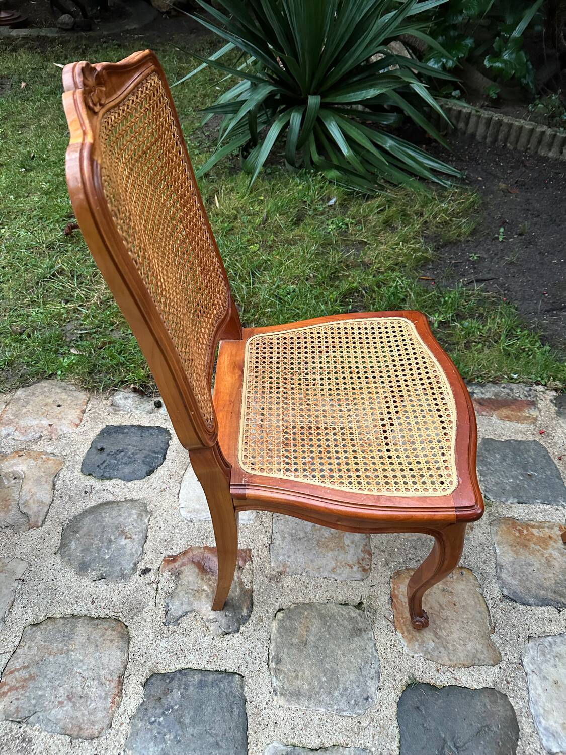 Caned chairs in Louis XV style