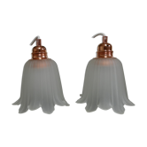 Paire de baladeuses