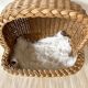 Woven wicker cat basket