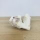 3 old white corals, coral