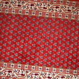 Tapis Vintage Indo-Seraband en Laine, Années 1970, Élégance Classique