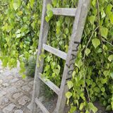 Wooden ladder