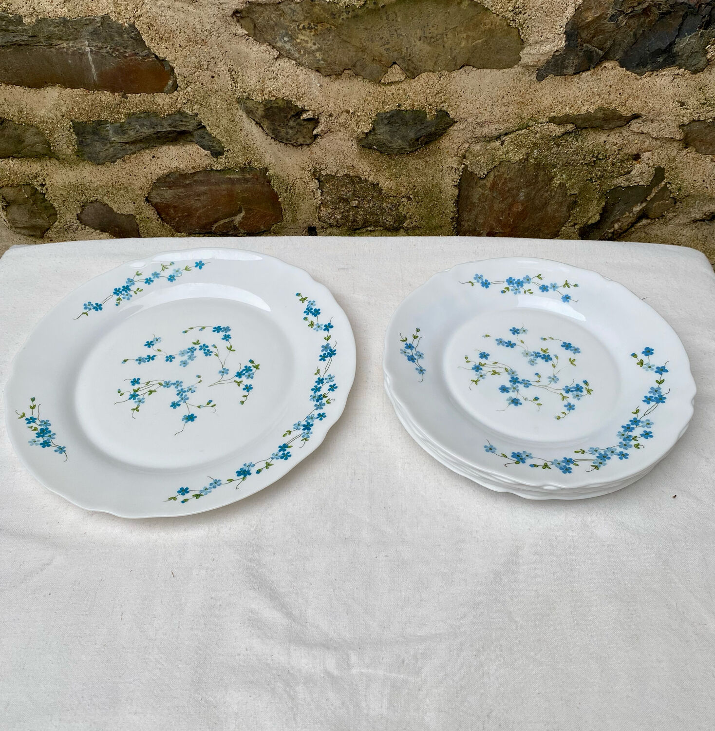 Lot De 6 Assiettes Plates Vintage Arcopal France, Diamètre 19,5 Cm, Décor Floral