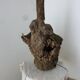 Brutalist turned wood lamp