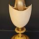 Cabinet of curiosities Nautile mother-of-pearl shell old collection