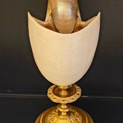 Cabinet of curiosities Nautile mother-of-pearl shell old collection