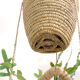 Hanging baskets made of natural fiber