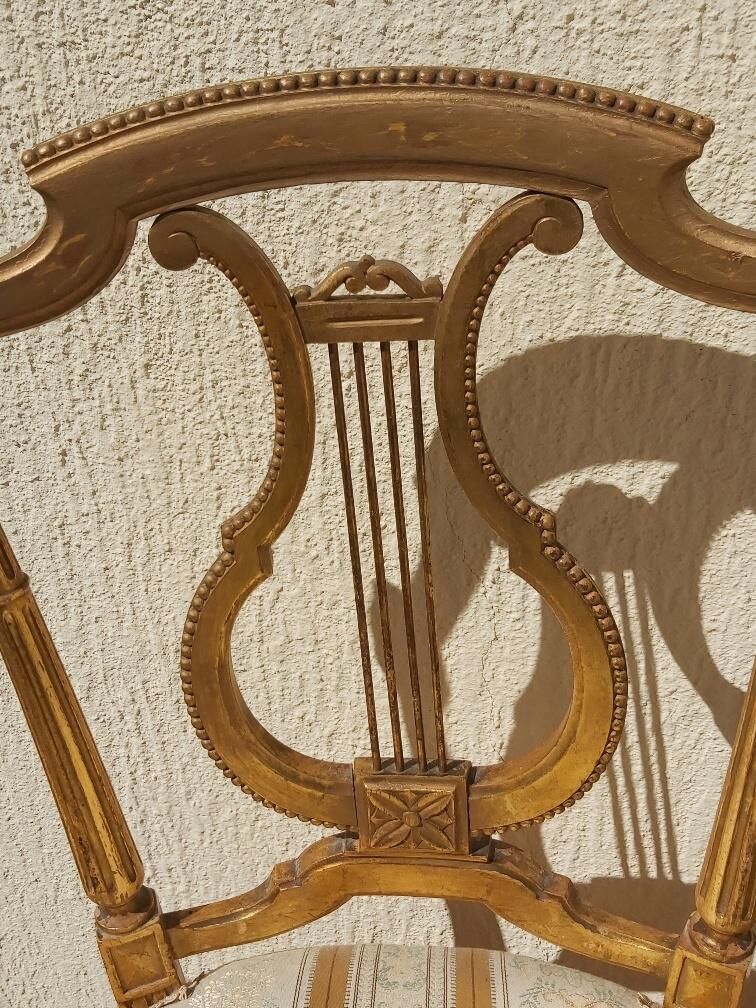 Pair of chairs with a golden lyre