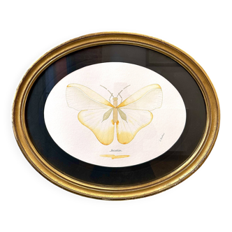 Cadre ovale Papillon