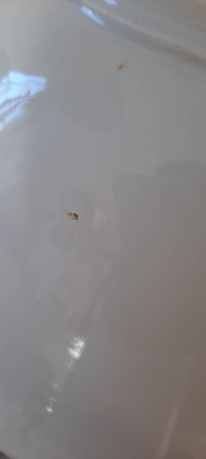 Grand saladier blanc Pillivuyt