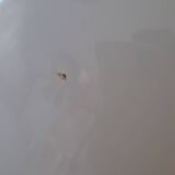 Grand saladier blanc Pillivuyt