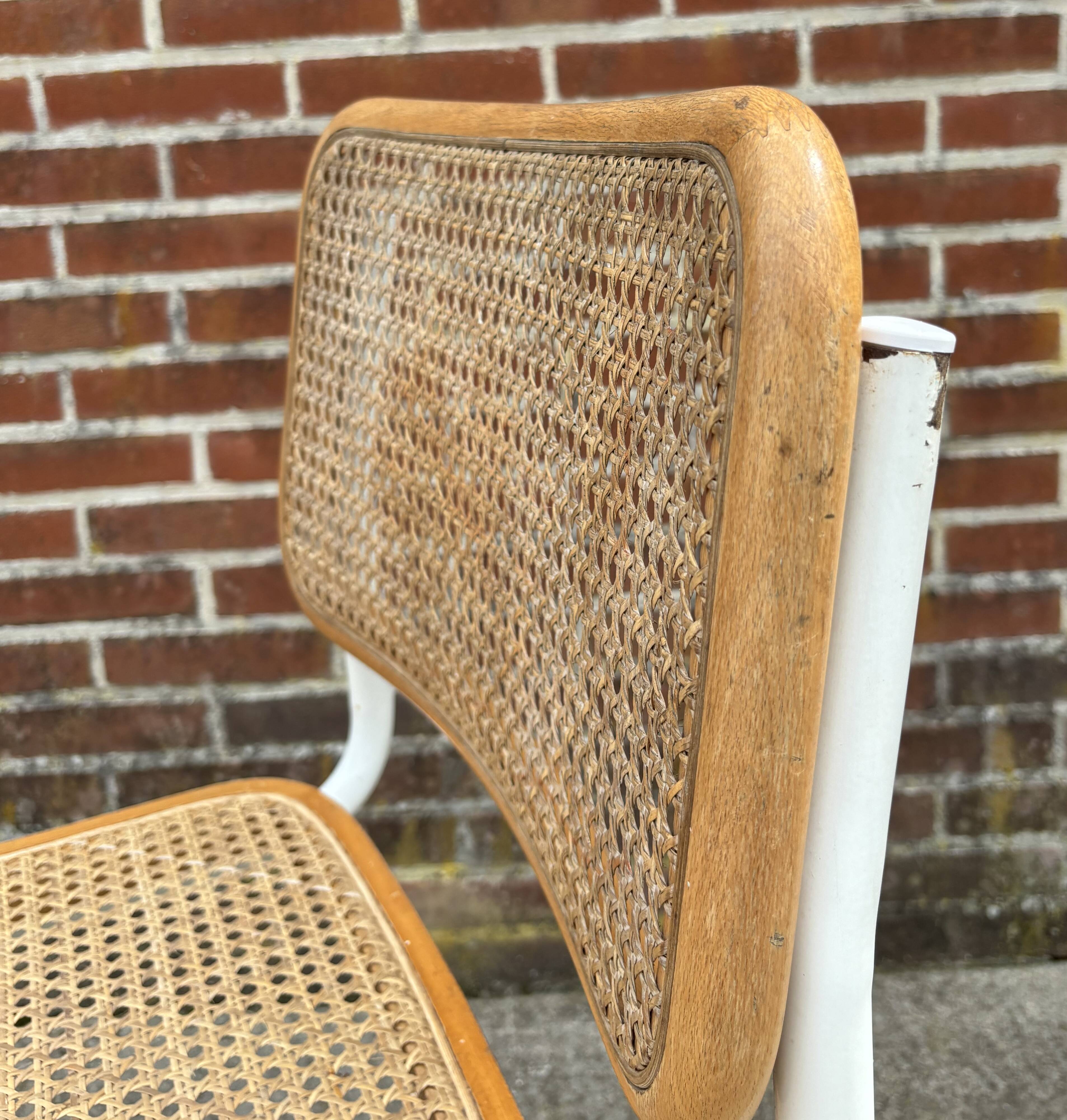 Cesca chair b32 model in white and wood by Marcel Breuer