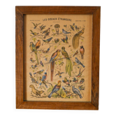 old plate / framed lithograph Editions Pellerin Imagerie Epinal early 20th century