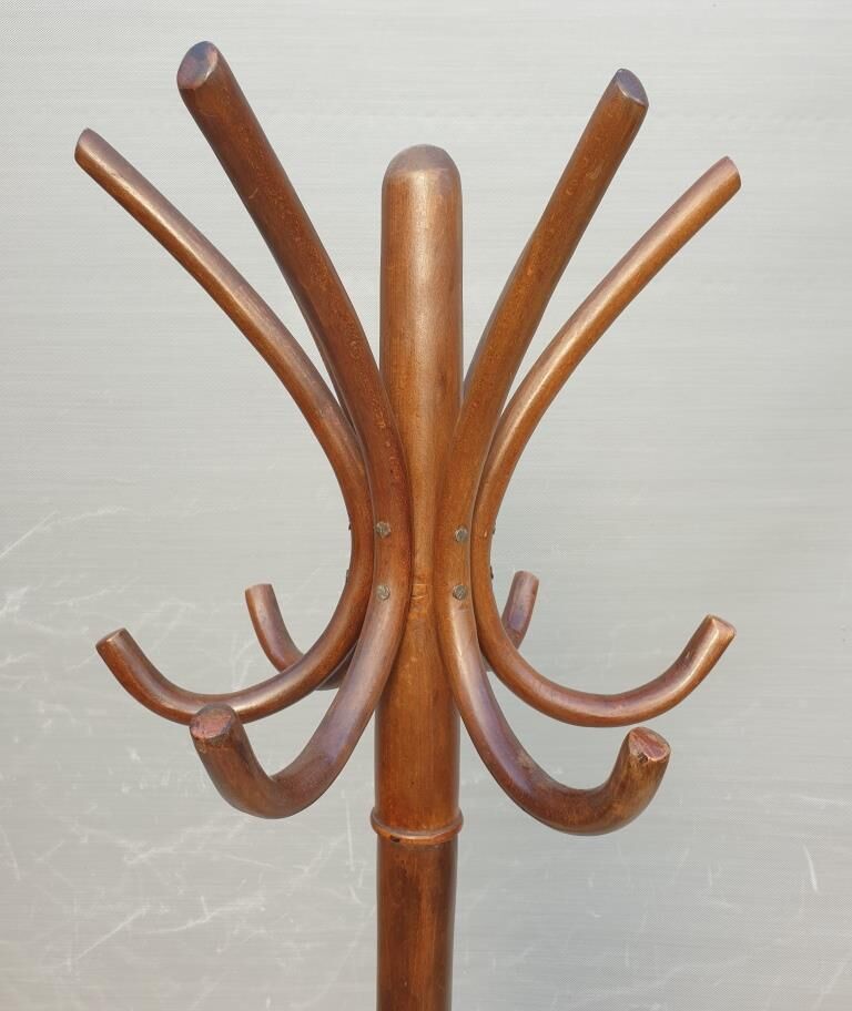 Coat rack parrot bentwood model P30