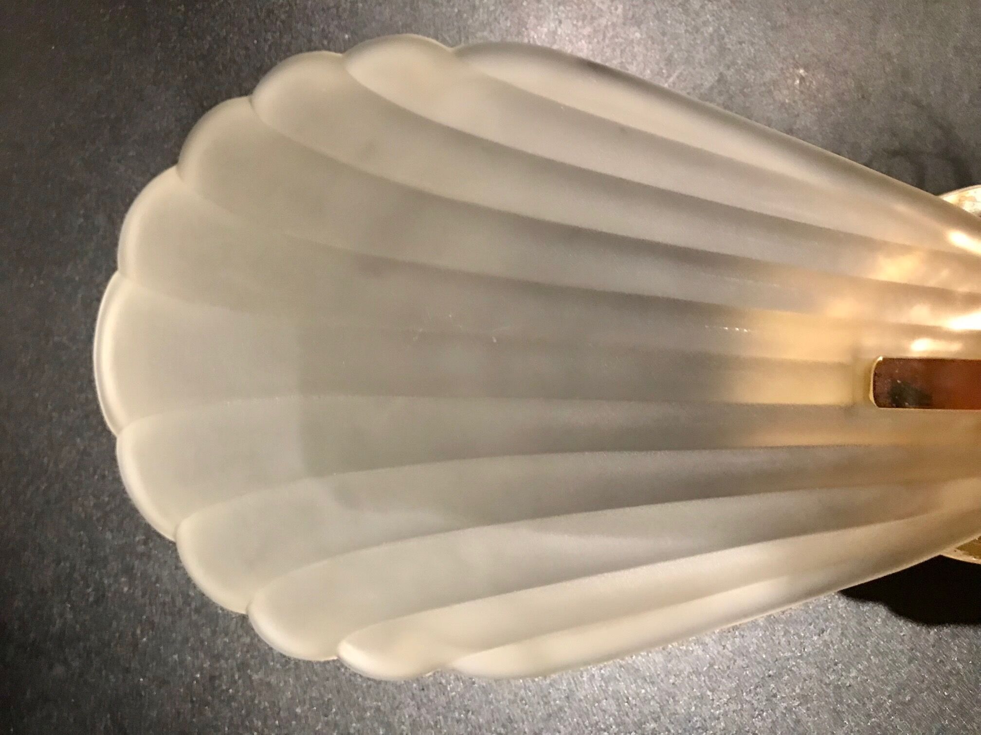 Glass shell wall lamp