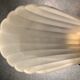 Glass shell wall lamp