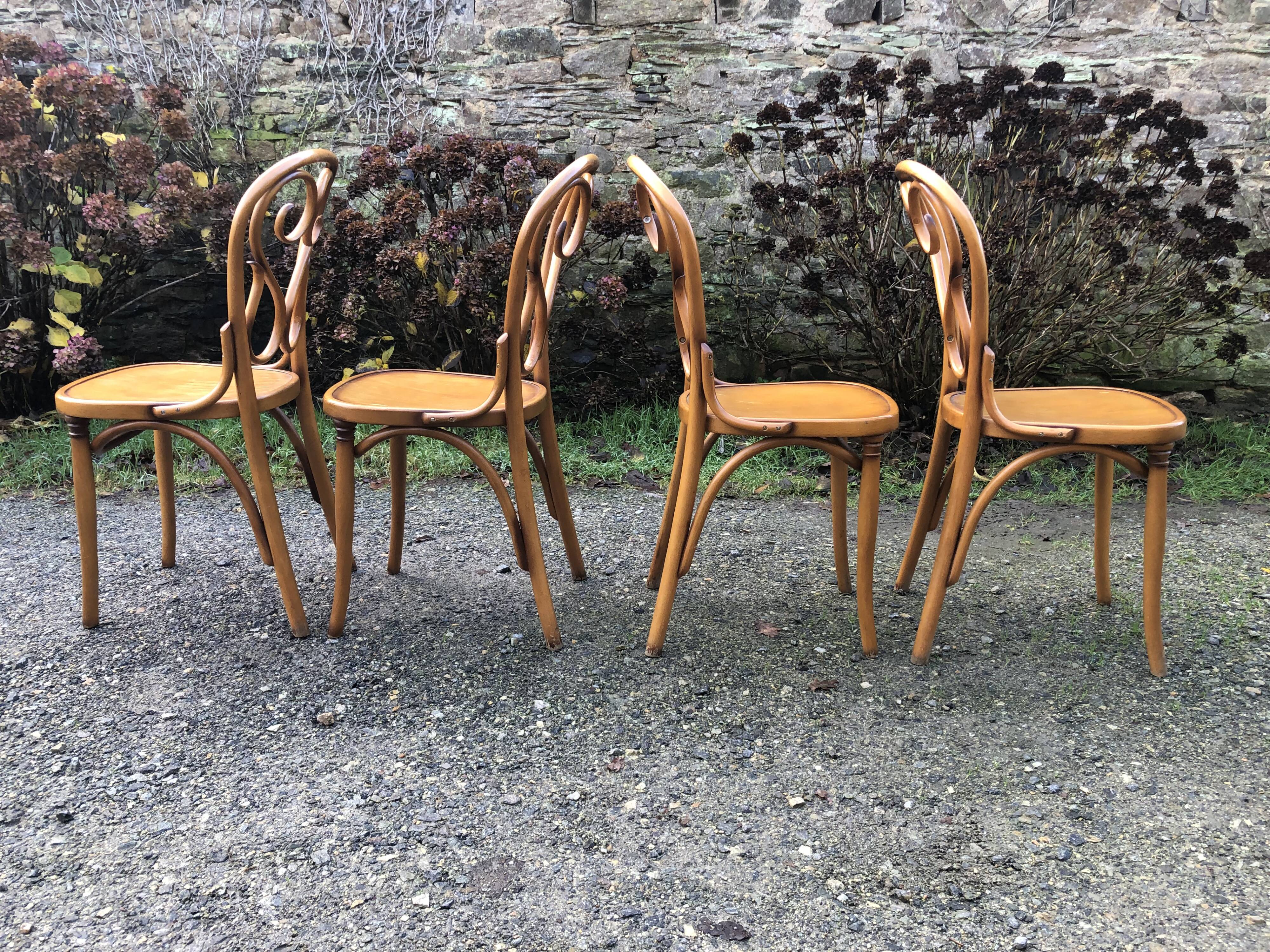 4 Thonet style bentwood chairs in beech.