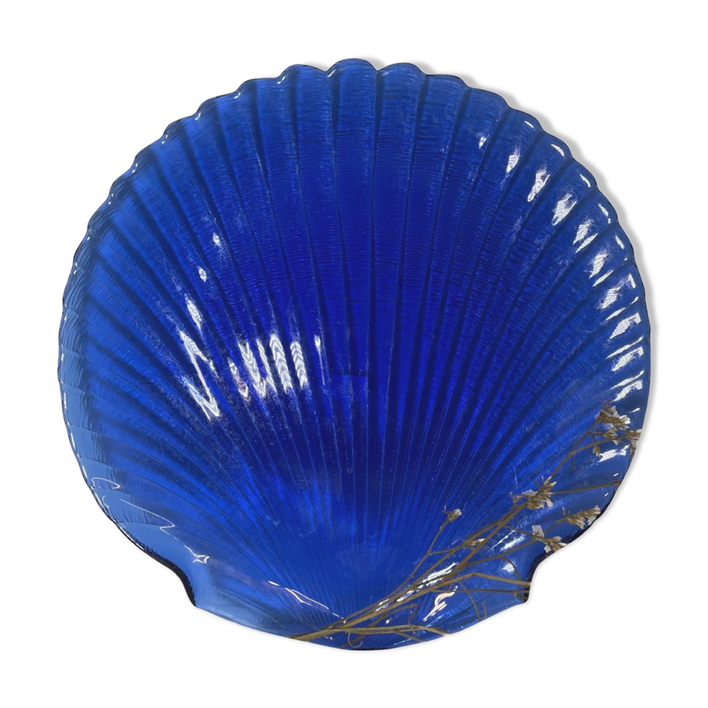 Assiette coquillage