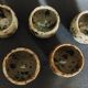 Set of 20th-century stoneware liqueur glasses