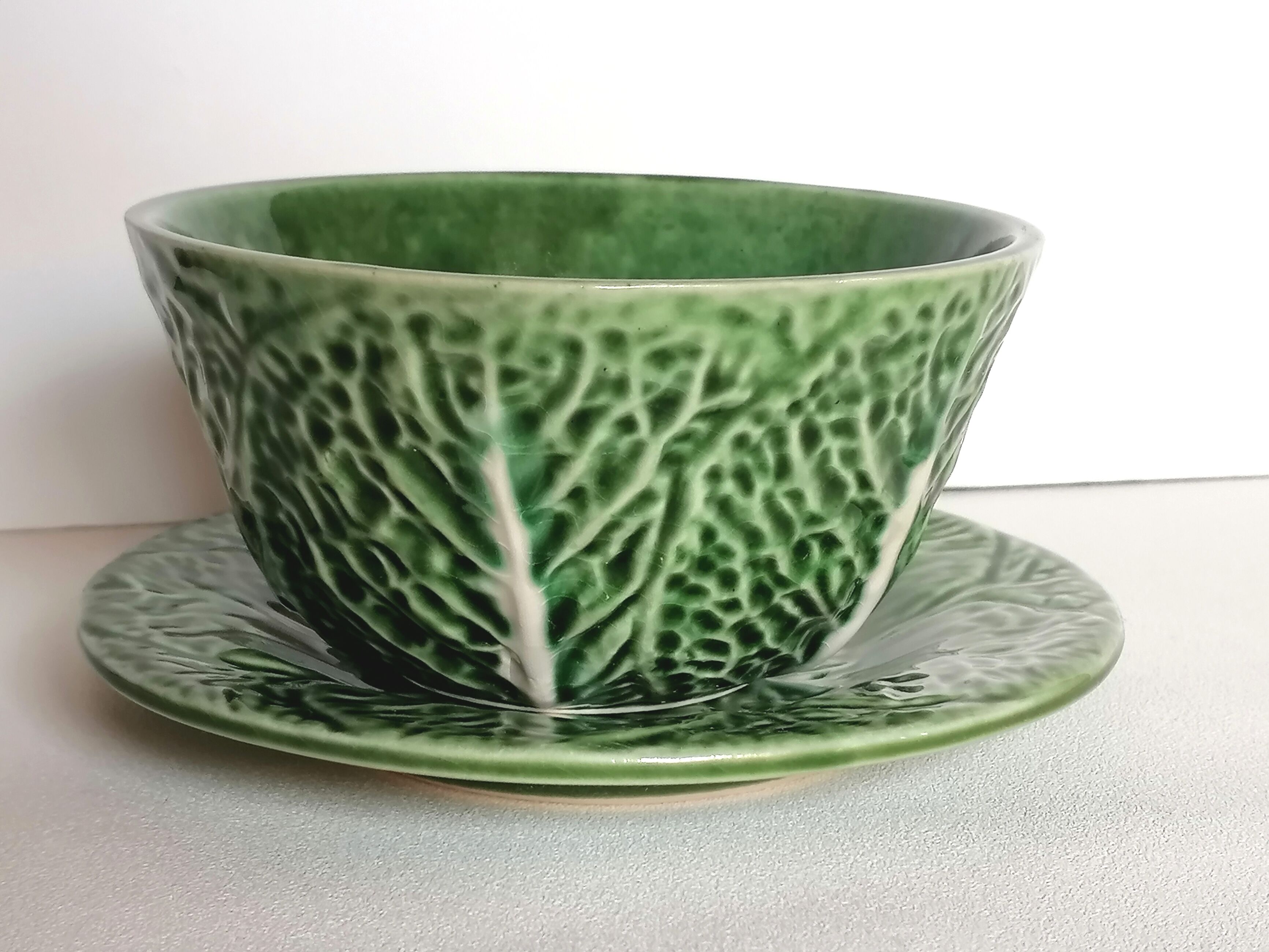 Two bowls in dabbling and their plates leaves cabbage