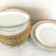 Set 12 plates and 3 dishes porcelain of Sologne