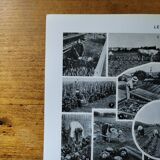 Original lithograph of vegetables and vegetable plants