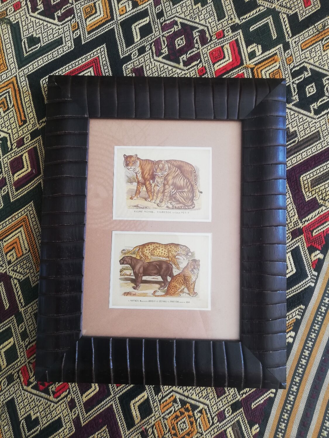 Reproductions vintage images epinal tigers, panthers under frame