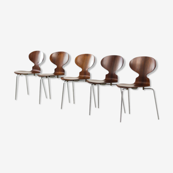 Lot de 3 chaises danoise signées Arne Jacobsen