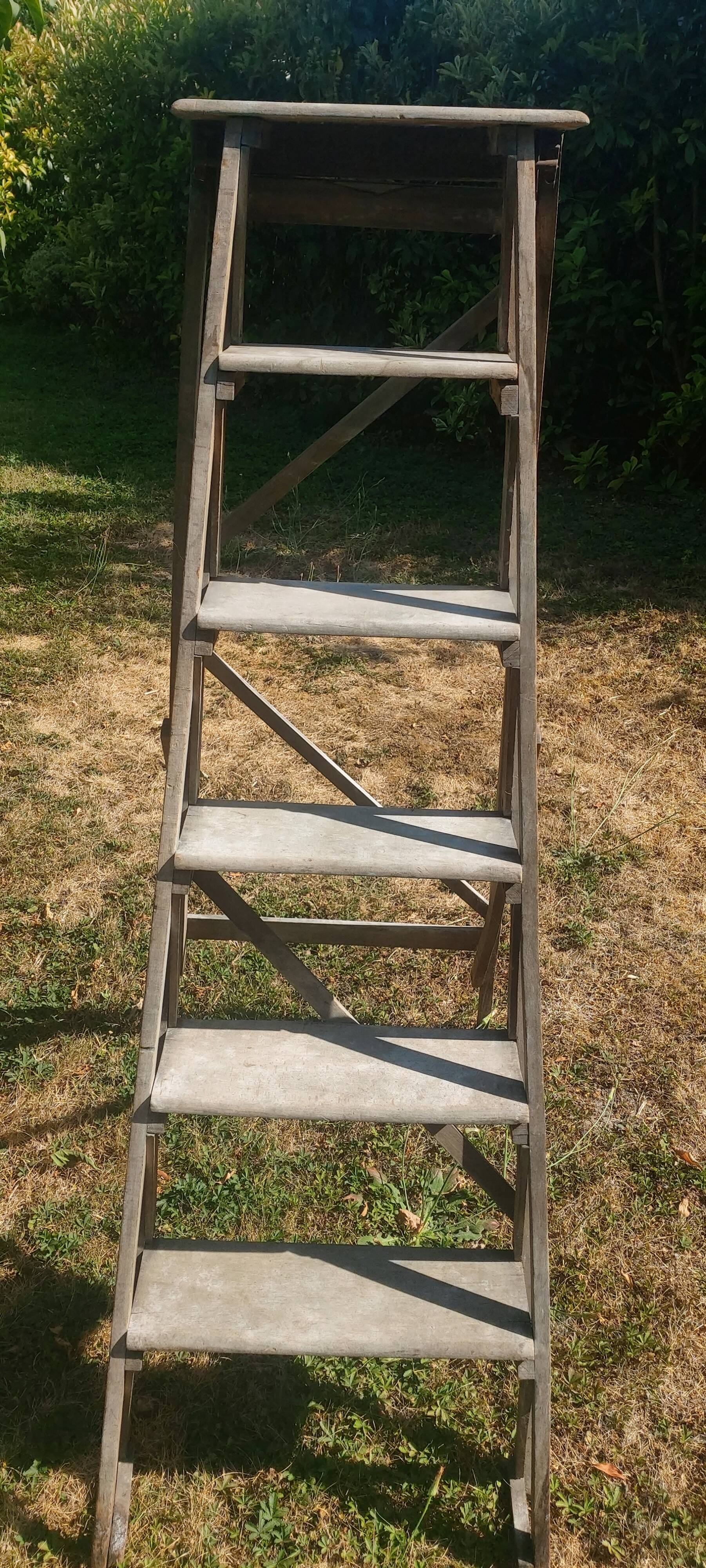 Escabeau de peintre vintage en bois