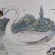 Original ornithological plate "