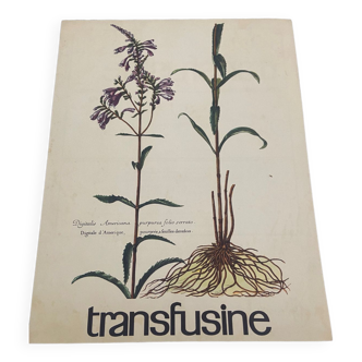 Transfusine medical poster