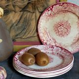 Five plates of earthenware from Pexonne 19th service "flowers"