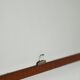 Scandinavian mirror with teak frame