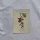 🌿 Botanical Plate Old Naturalist Engraving 19th Century Double-Sided A