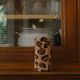 Small Leopard Vase