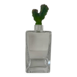 Daum Carafe – Cactus