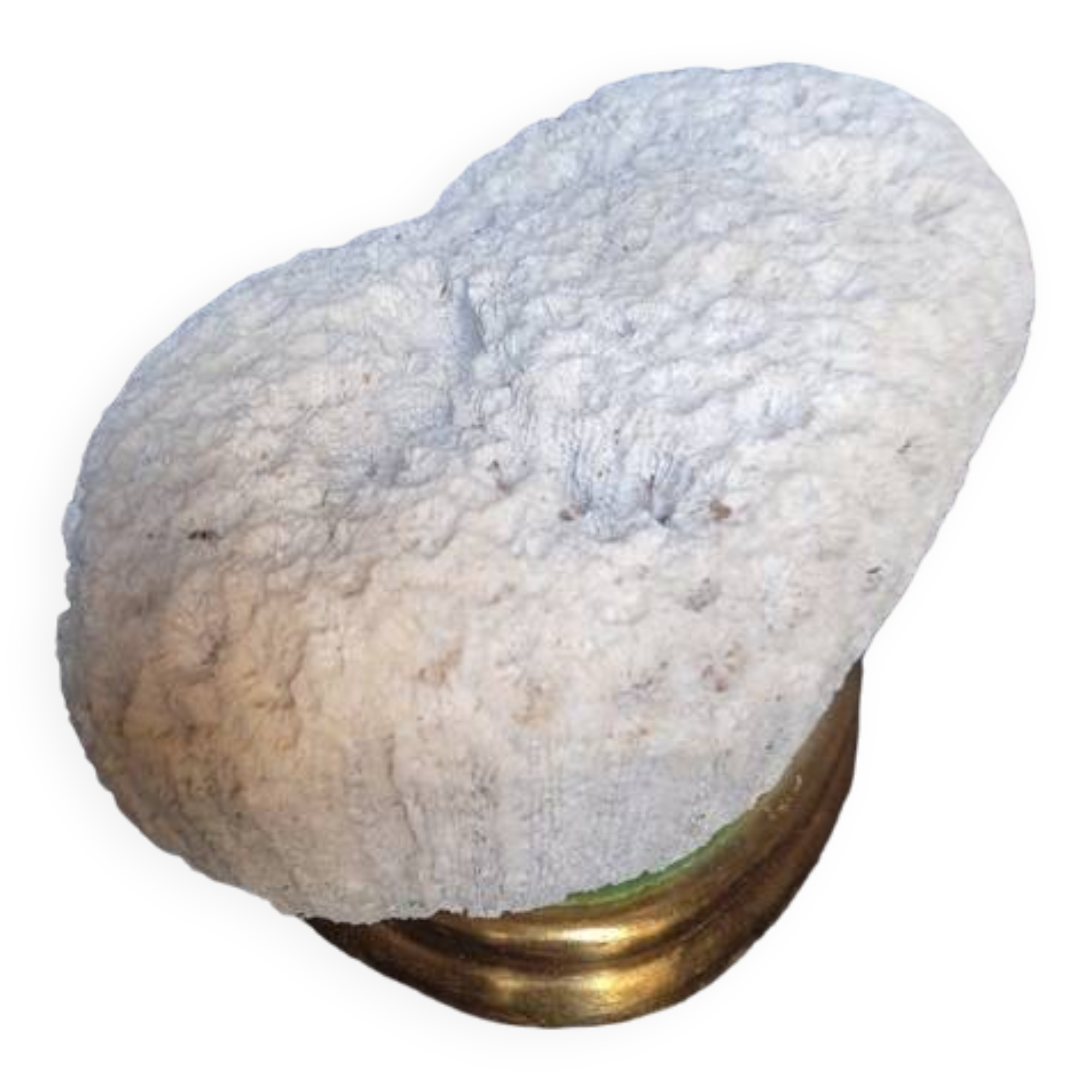 Cabinet de Curiosités Psammocora profundacel corail blanc sur socle