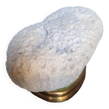 Cabinet of Curiosities Psammocora profundacel white coral on base