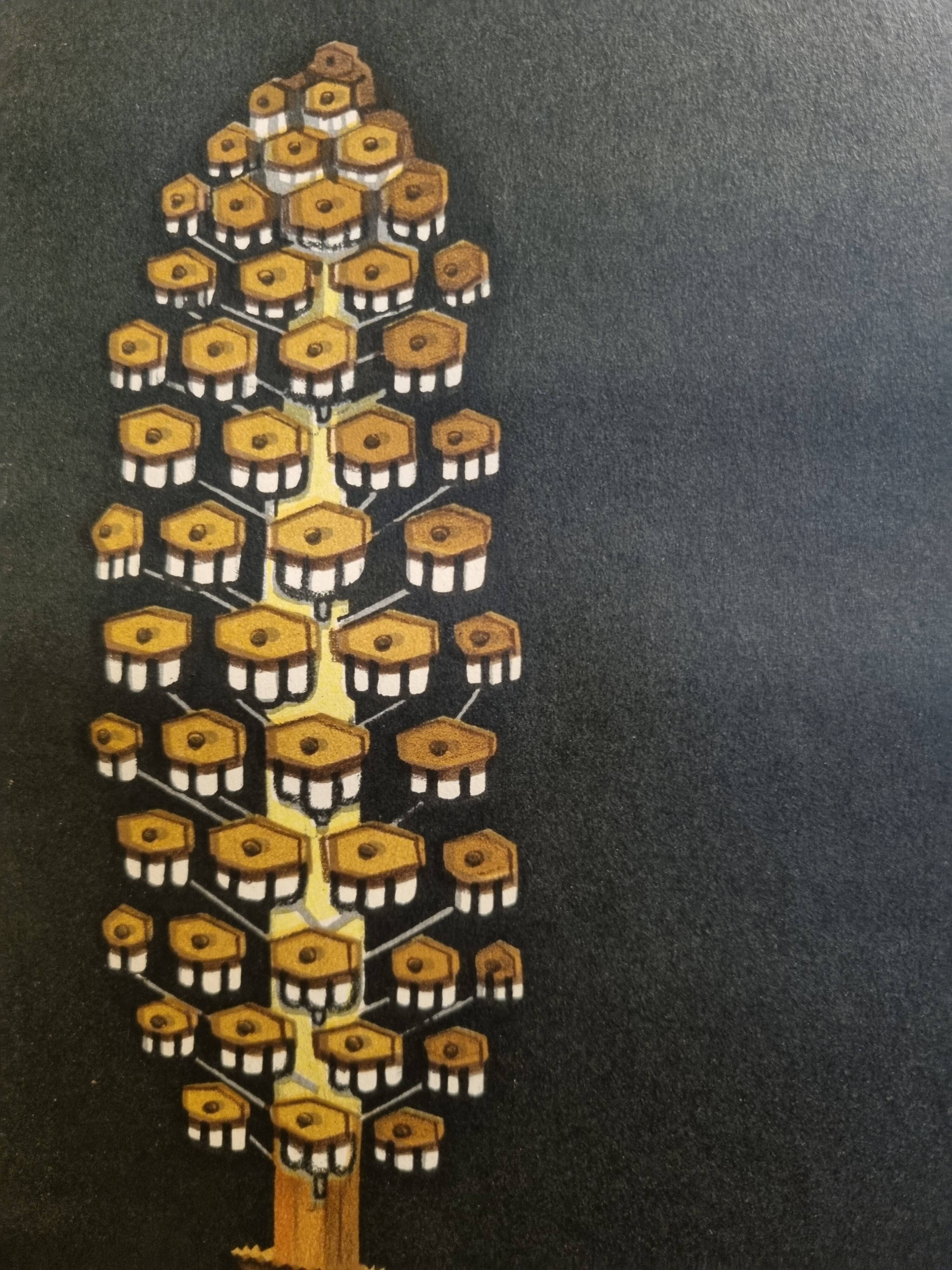 Botanical board coated tissue