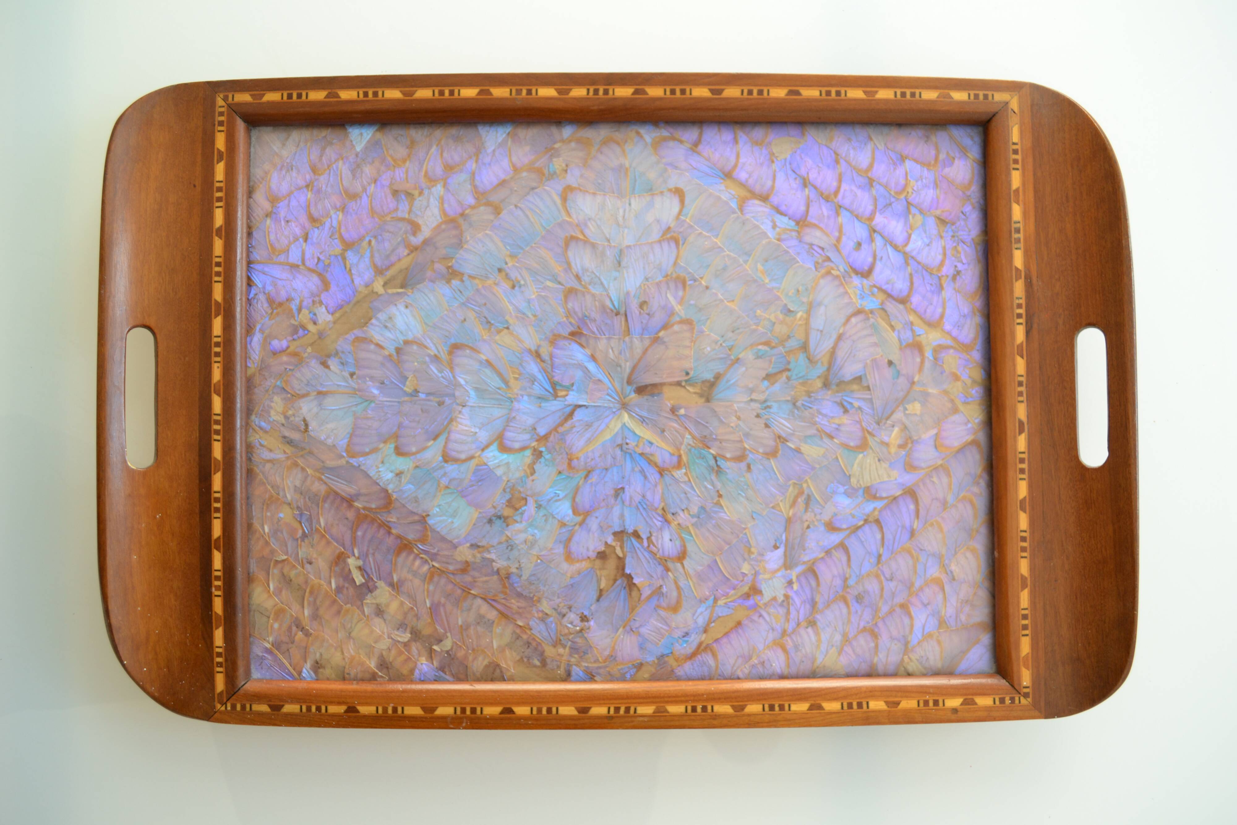 Plateau butterfly wings under glass exotic wood and marquetry Brazil